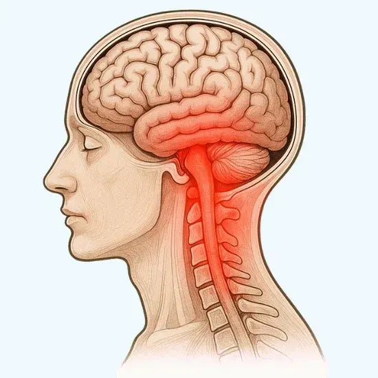 Inflamación Nerviosa Crónica